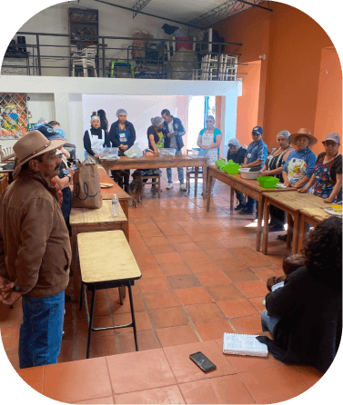 Fundacion Ser programa ser Fundacion Ser programa ser