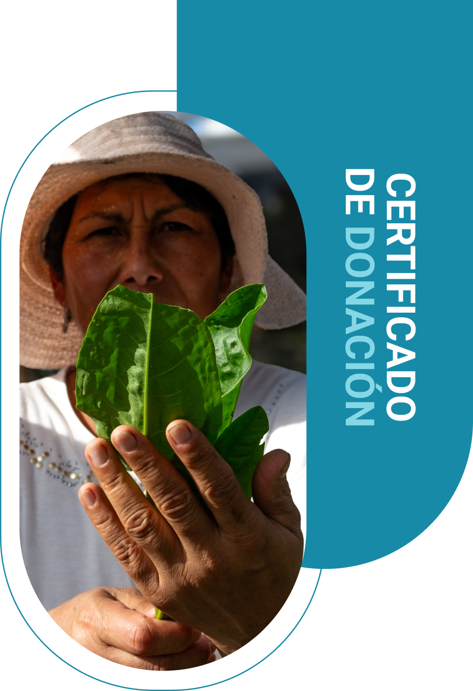 Fundación Ser certificado de donacion Fundación Ser certificado de donacion